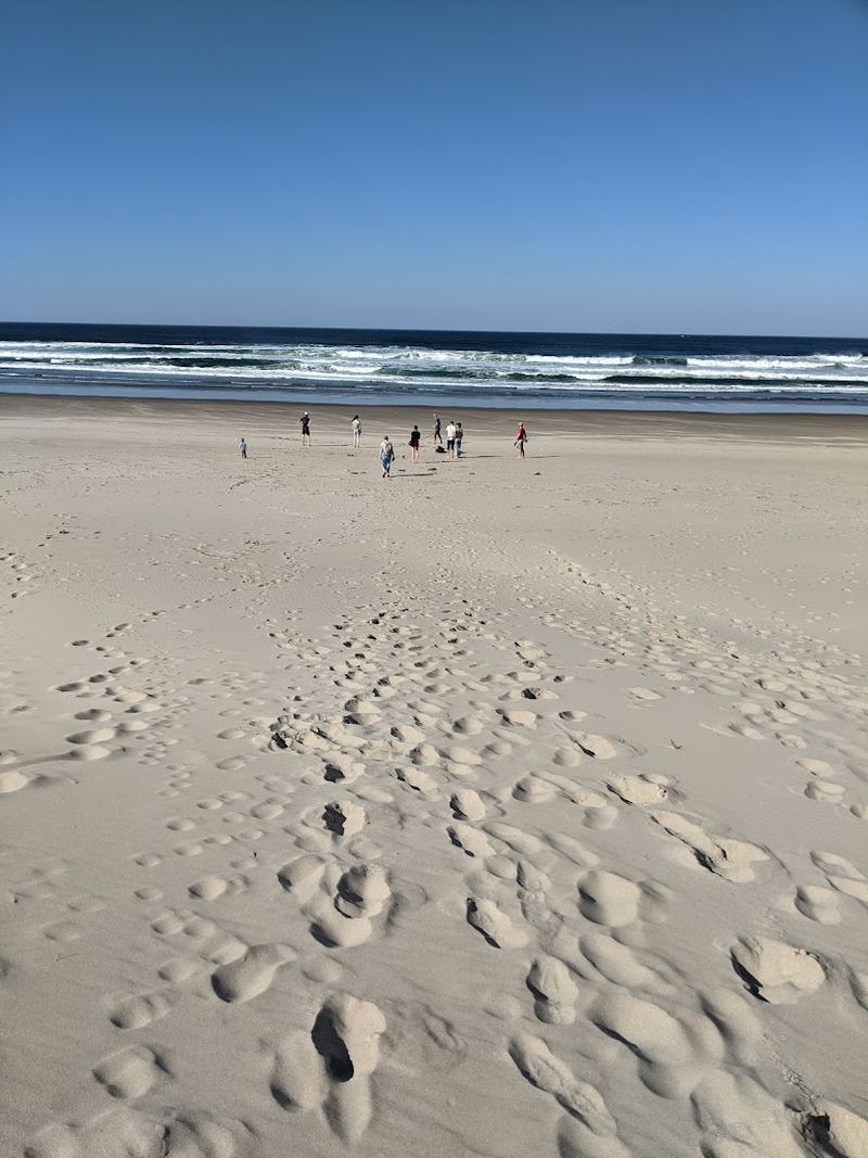 Why Manzanita Stays With You After You Leave