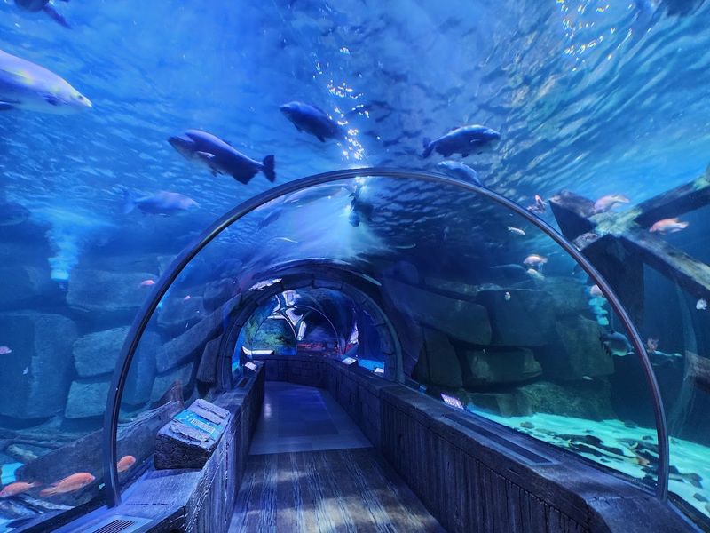 SEA LIFE Minnesota Aquarium