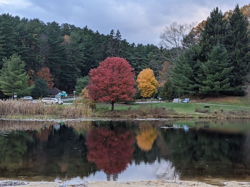 A Lake That Looks Like Brewed Tea And Feels Like Magic