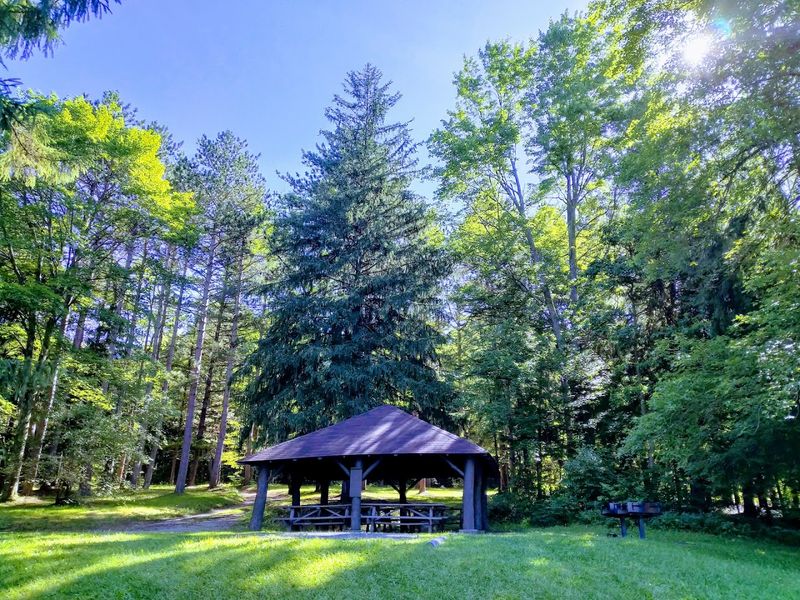 Camping Options That Extend The Adventure Overnight