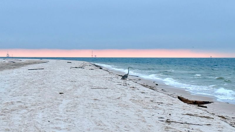 Wildlife And Nature That Will Surprise You