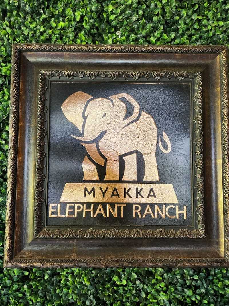 Why This Sanctuary Matters