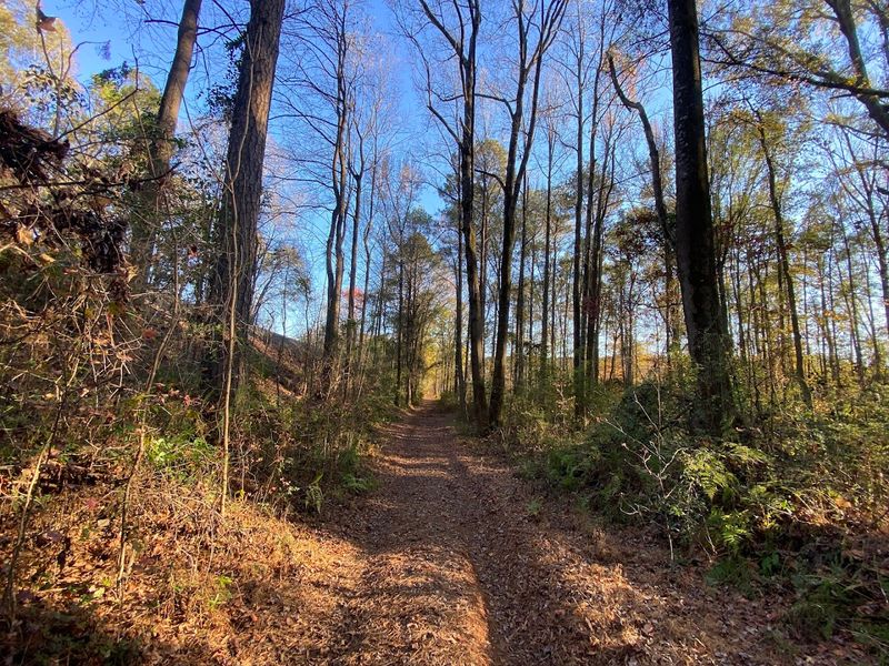 Tips For Experiencing The Trail Without Missing A Thing