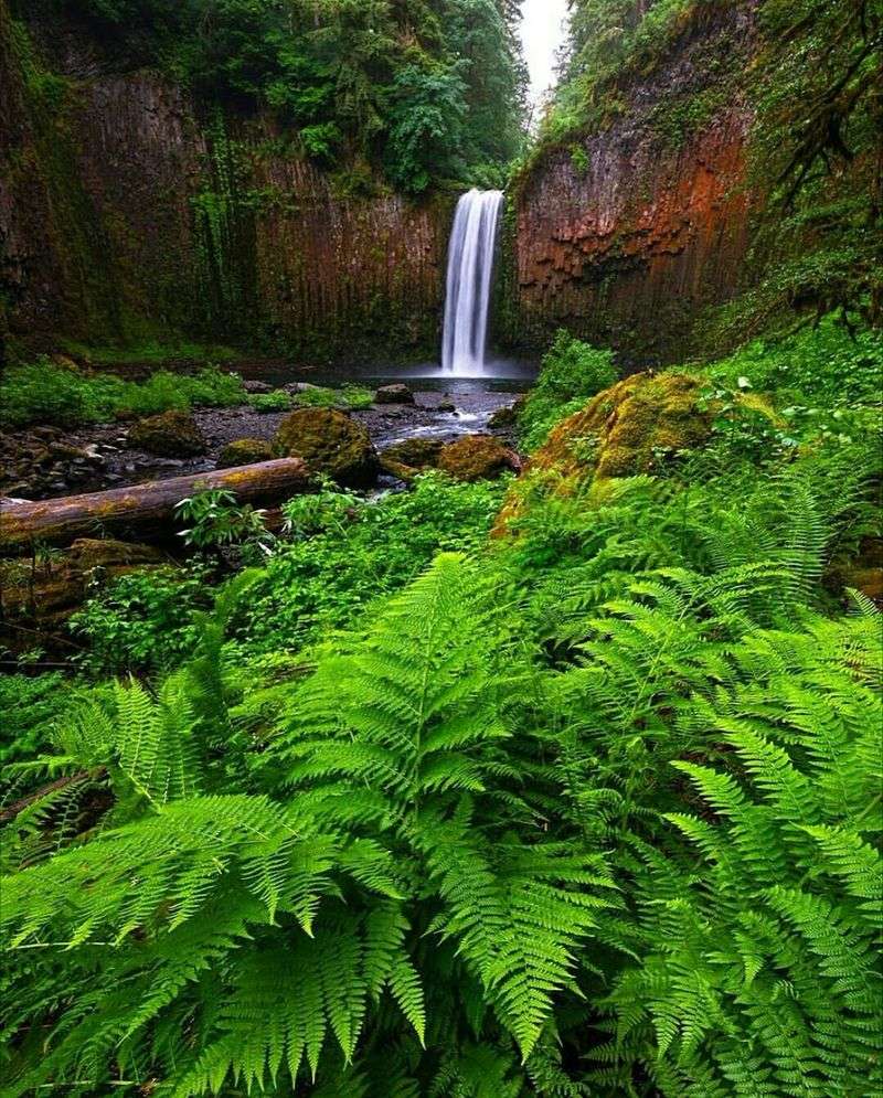 Best Times To Visit And Nearby Amenities To Know