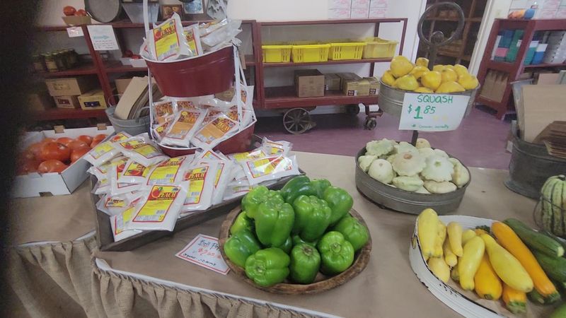 Fresh Vegetables Straight From Local Fields