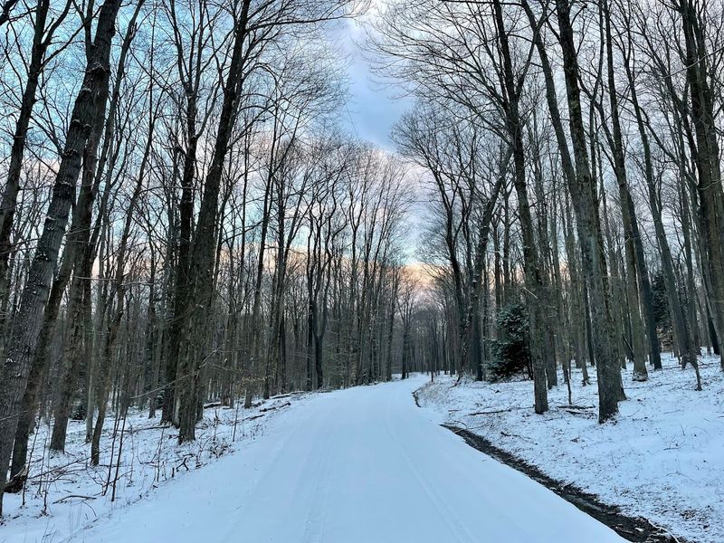 Winter Visits That Reveal A Completely Different Side