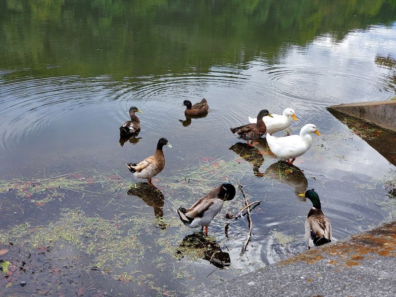 Wildlife Watching And Birding Opportunities