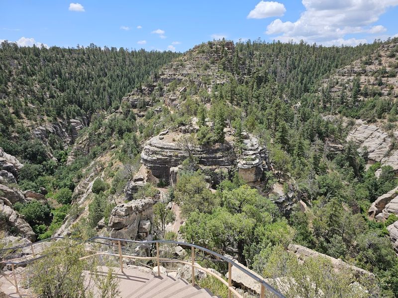 The Wildlife And Plants You Might Encounter