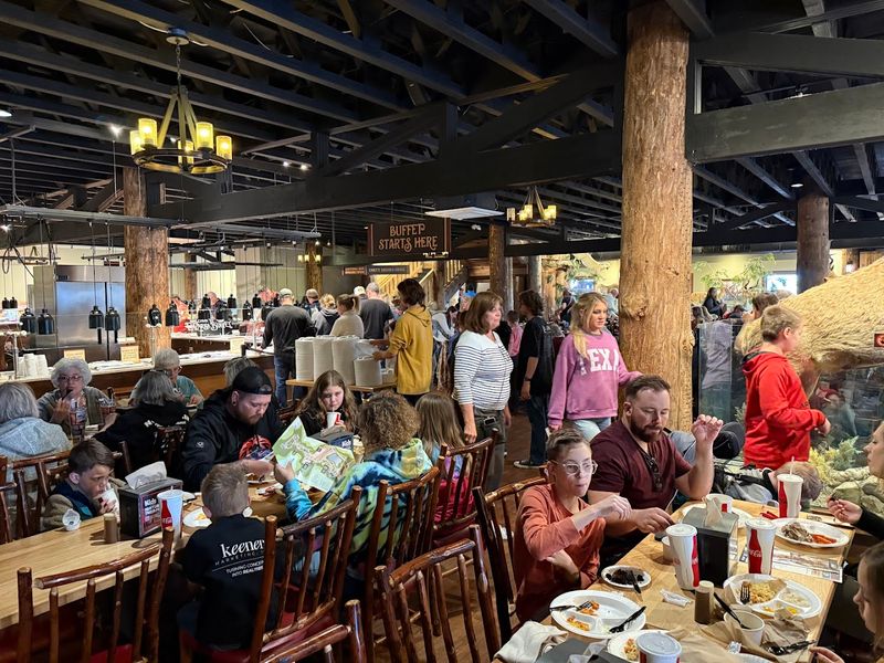 The Crowd Tells You Everything You Need To Know