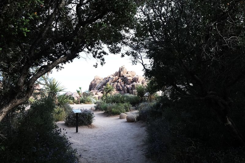 When To Visit For The Best Possible Experience