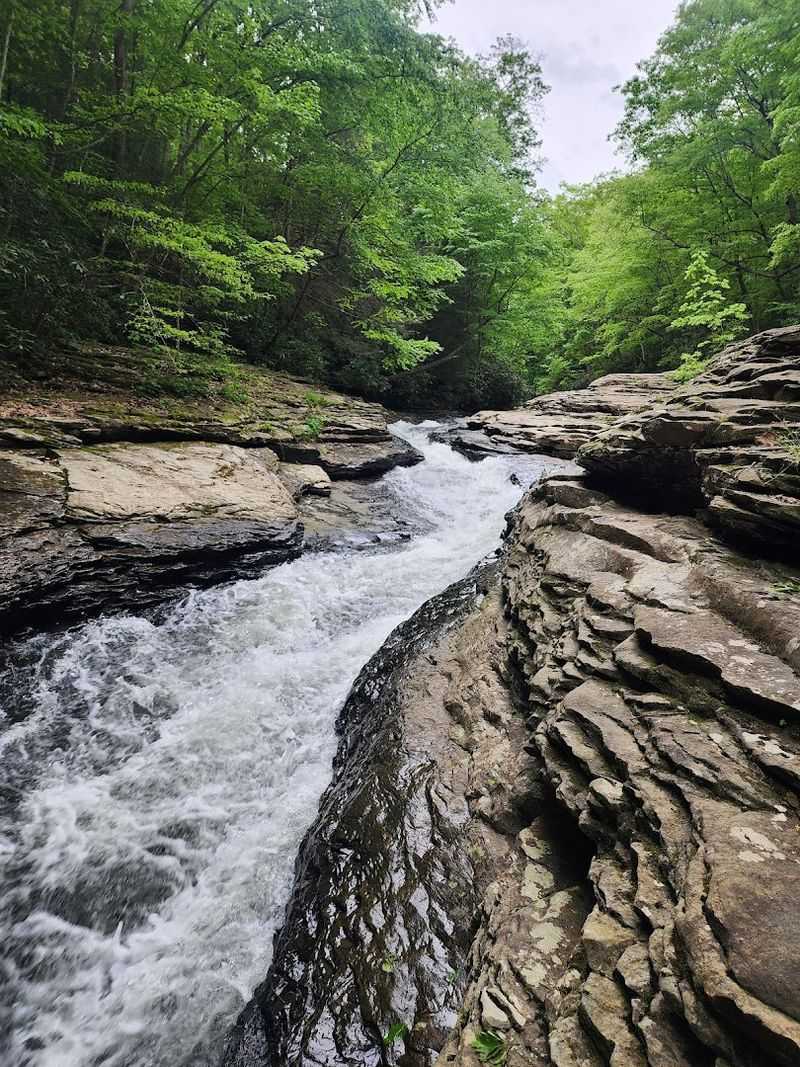 Ohiopyle State Park