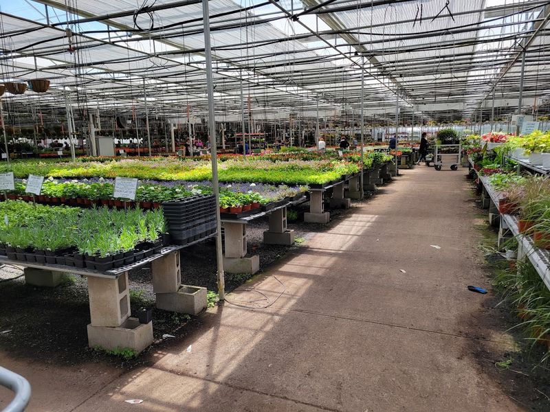 The Jaw-Dropping Size Of The Greenhouse Operation