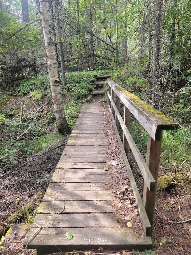 A Quiet Escape Away From The Crowds