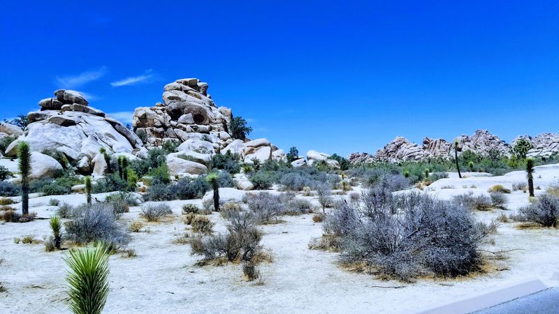 Stargazing After Dark In A Surprisingly Dark Sky