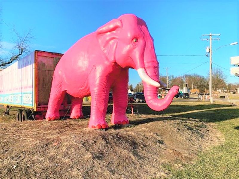 The Pink Elephant Statue And Photo Opportunities
