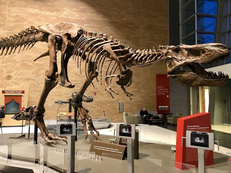 Science Museum Of Minnesota