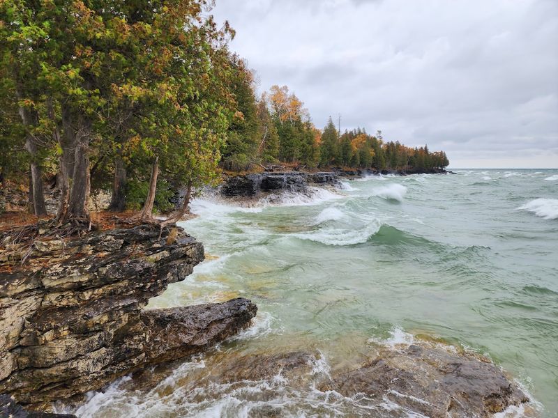 Trails That Take You Through More Than Just Trees