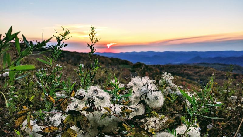  Tips For First-Time Travelers