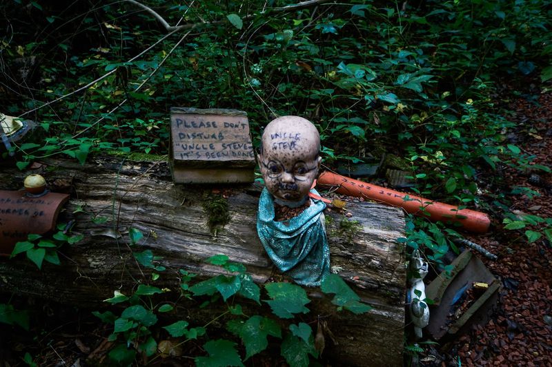 The Trail Layout That Guides You Through Chilling Scenes