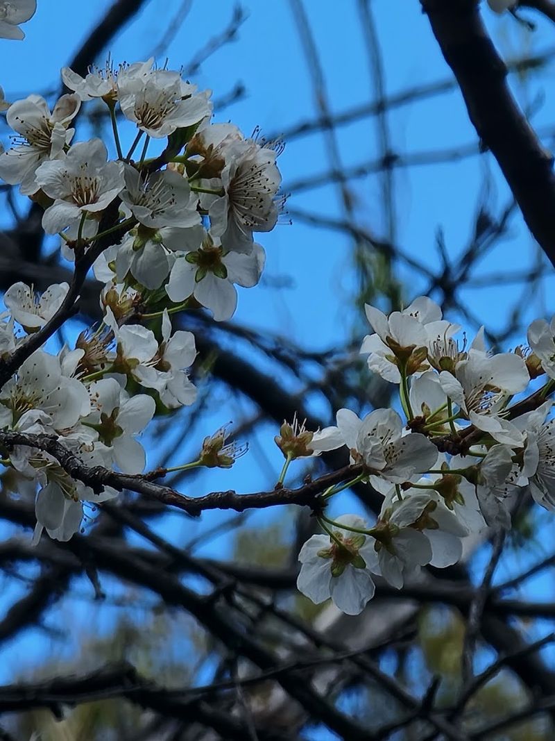 How The Community Supports Conservation Efforts