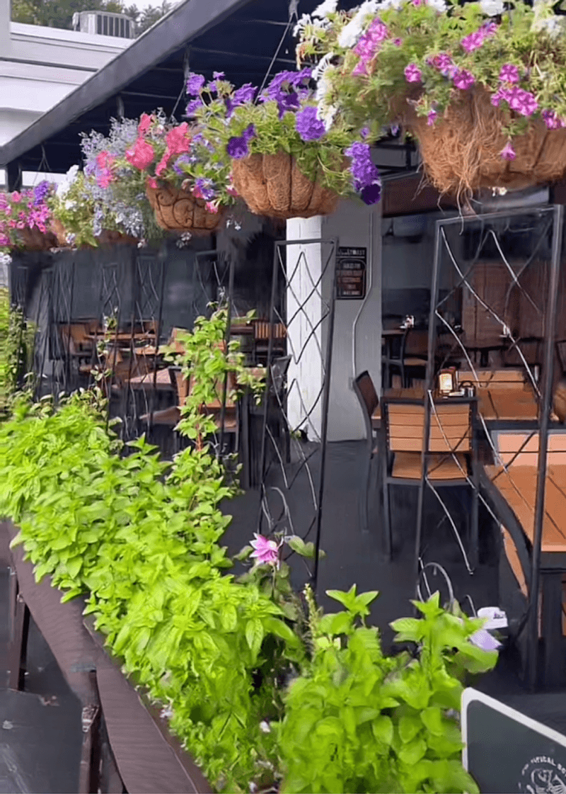 Practical Details: Hours, Parking, And Reservations