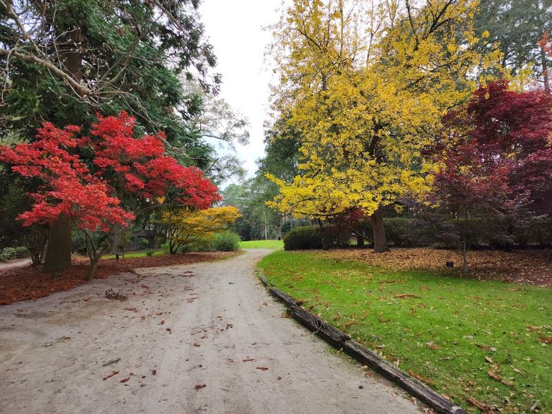 The Outdoors Around Sumter Are Impressive