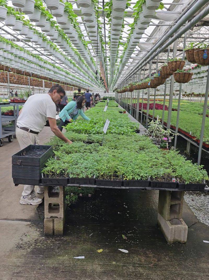 The Family Behind The Farm