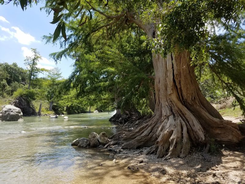 What Makes This Park Stand Out Among Texas Outdoor Spots