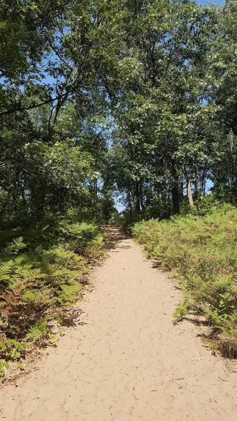 Dune Ridge Trail, Indiana Dunes National Park