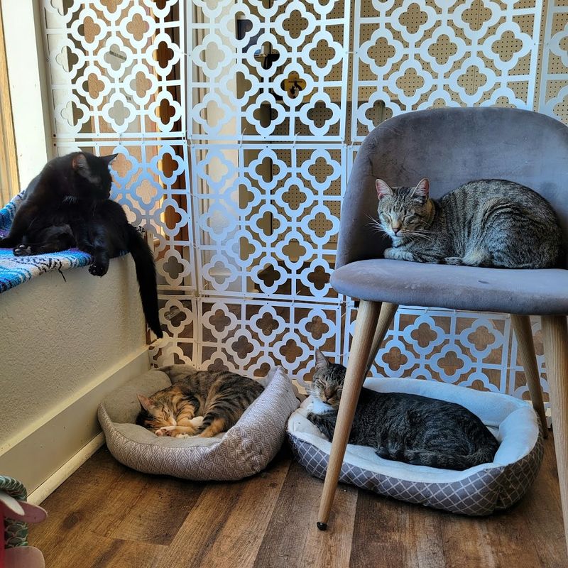 Tips For First-Time Visitors