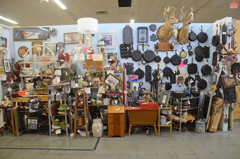 Planning Your Visit For The Best Experience