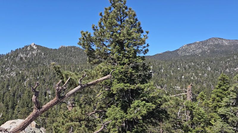 Practical Tips That Make The Visit Much Smoother