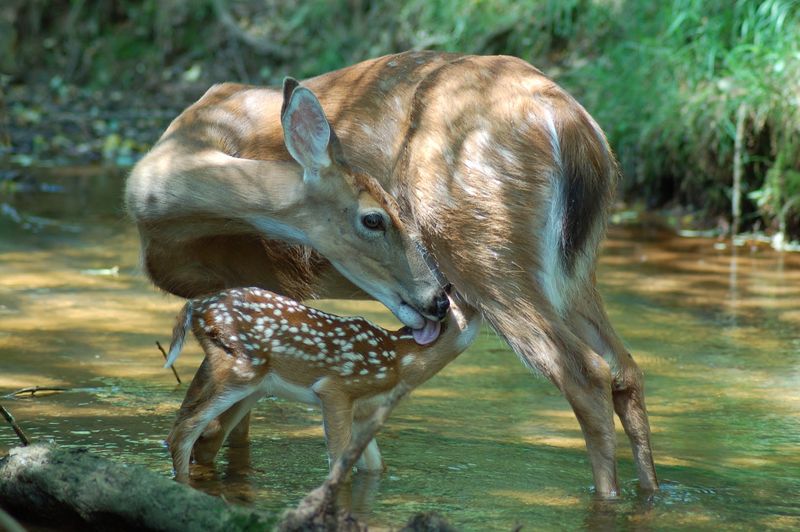 The People Behind The Passion