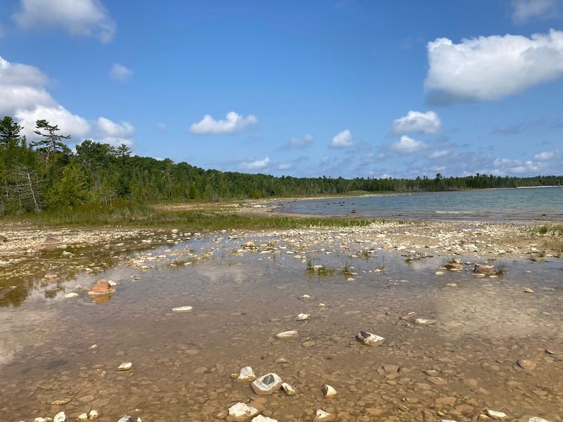 A Collector's Quiet Paradise