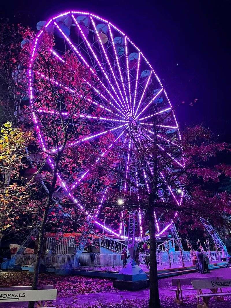 Special Events And Seasonal Surprises That Make Every Visit Different