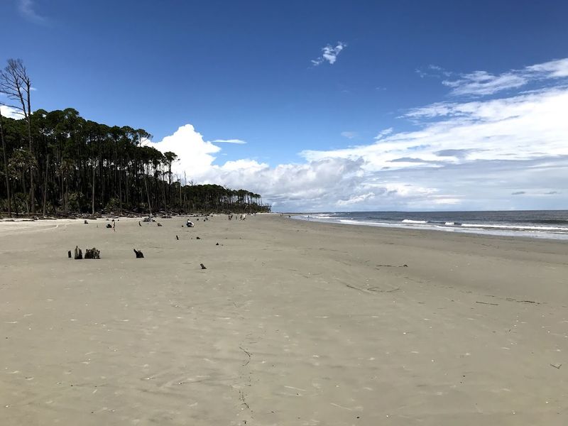 Hunting Island State Park
