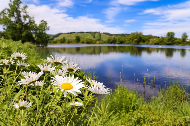 Boyne Mountain Resort