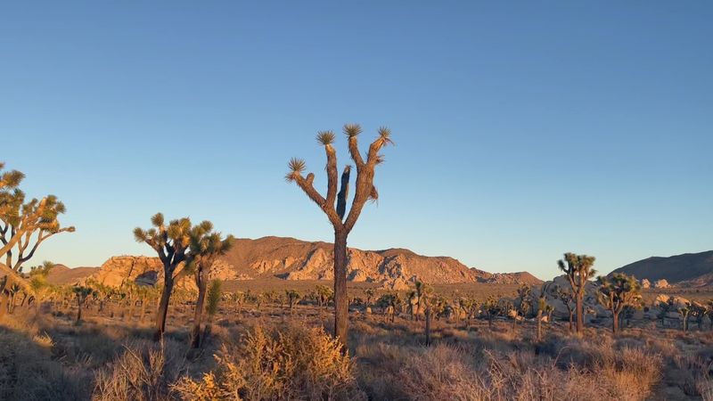 The Trail That Packs A Punch In Just One Mile