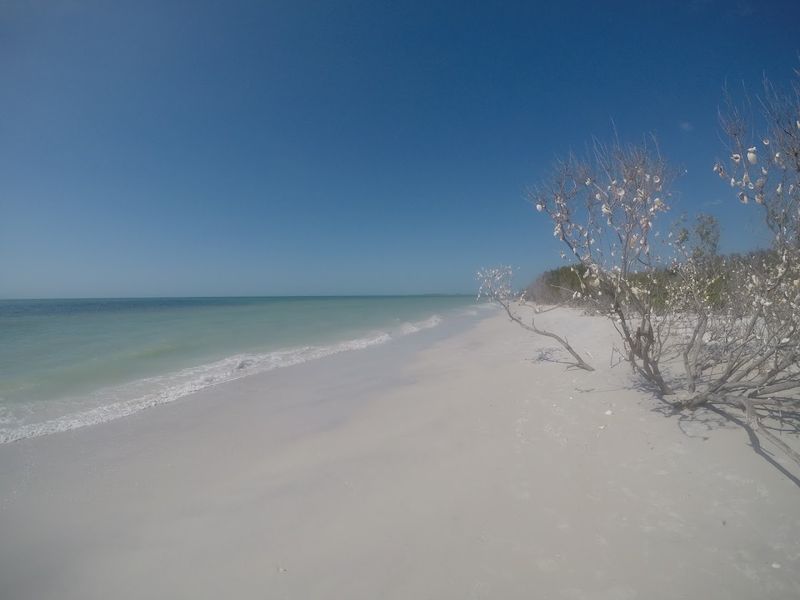 Caladesi Island State Park