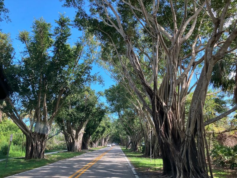 How Long Is The Tunnel And What Should You Expect