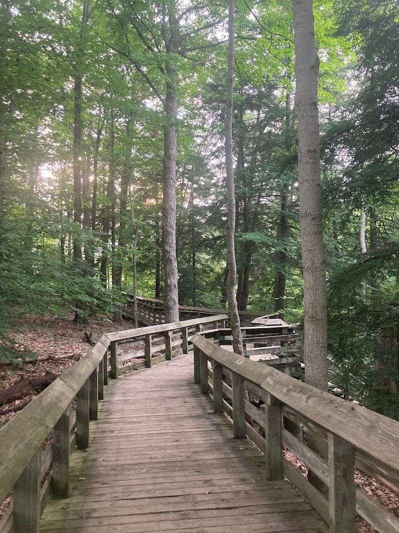 Accessibility And Practical Trail Info