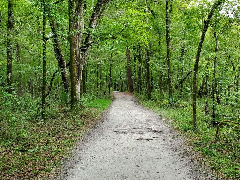 Best Timing Makes Everything Easier