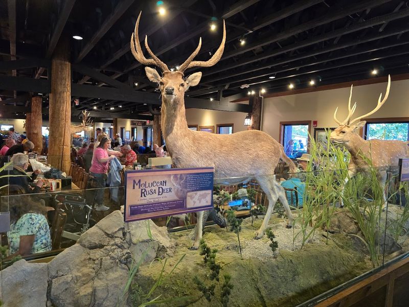 A Destination Worth The Drive From Anywhere In Northern Kentucky