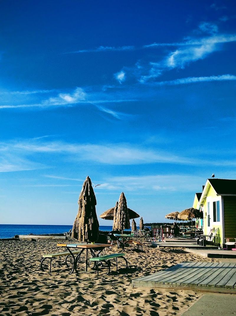 The Beach And Lake Huron Access