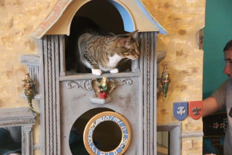 How The Adoption Process Actually Works