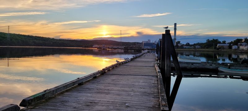 Sounds The Harbor Makes When Nobody Is Around