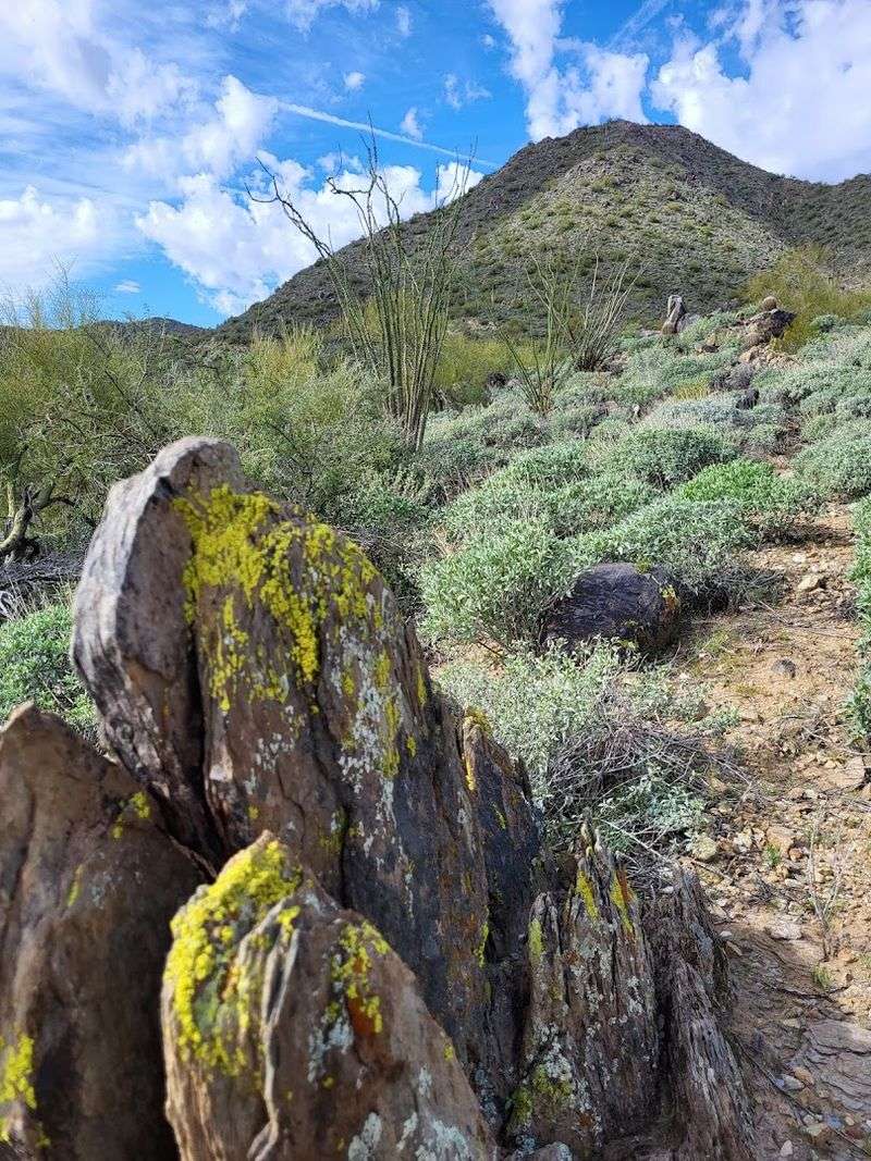 Hiking Trails Close To Town