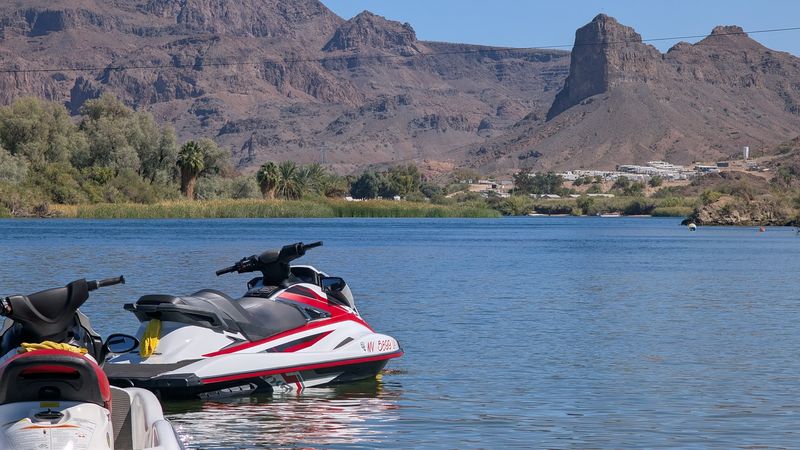 Games, Books, And Activities Beyond The Trail