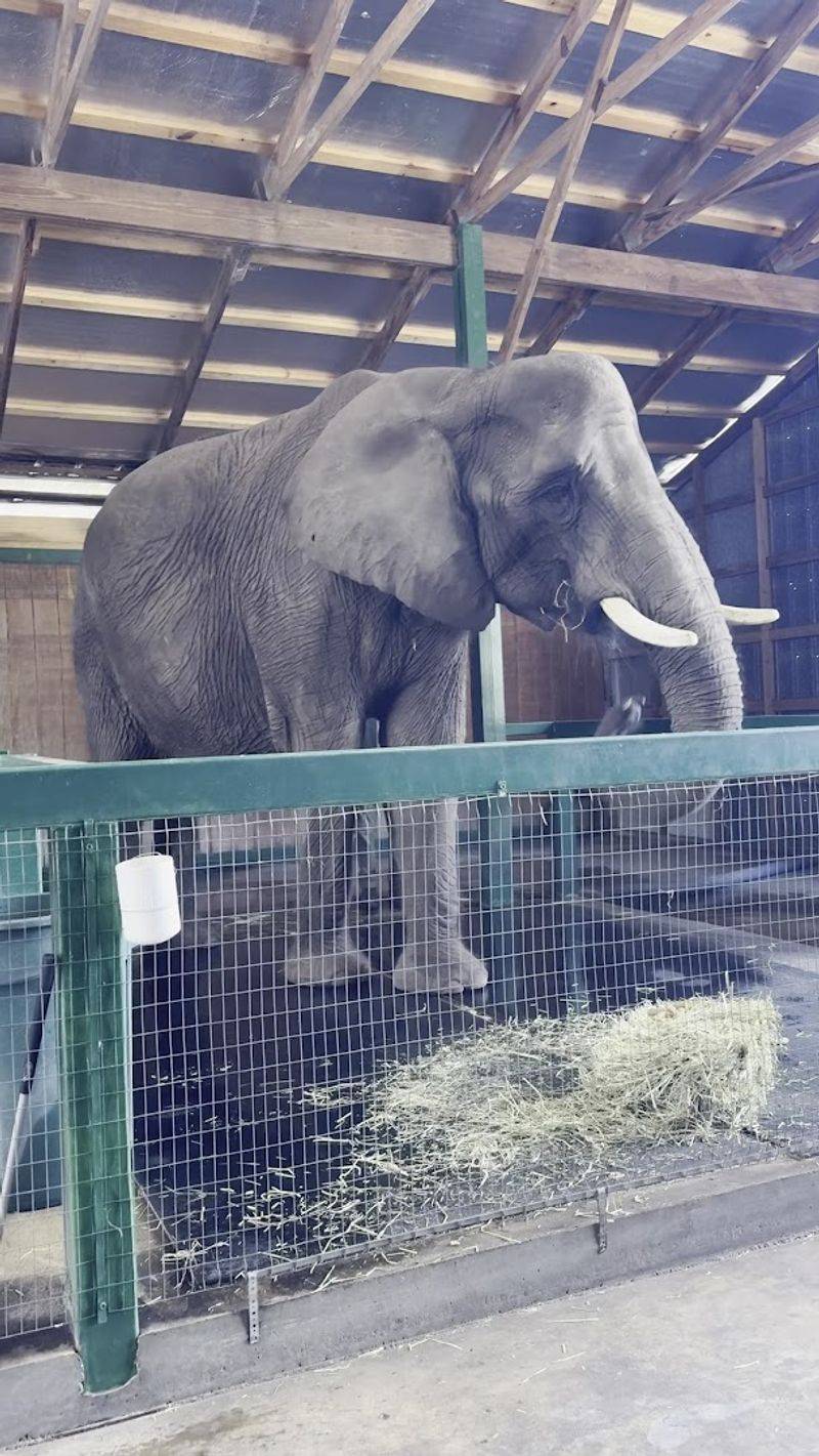 Rise And Shine Caretaker Morning