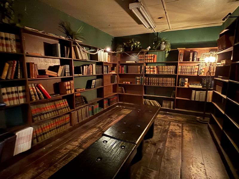 Vinyl Records For The Music Lovers